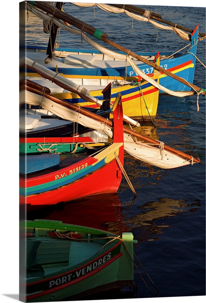 France, Languedoc-Roussillon, Collioure town, Catalans (traditional fishing  boats) Solid-Faced Canvas Print