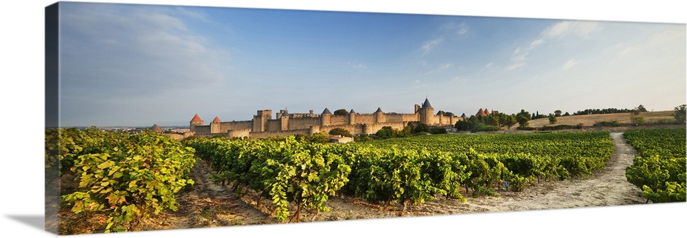 France, Languedoc-Roussillon, Mediterranean area, Aude, Carcassonne