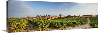 France, Languedoc-Roussillon, Mediterranean area, Aude, Carcassonne