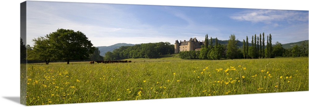 France, Midi-Pyrenees, Dordogne, Quercy, Saint Cere, Chateau de Montal, the castle