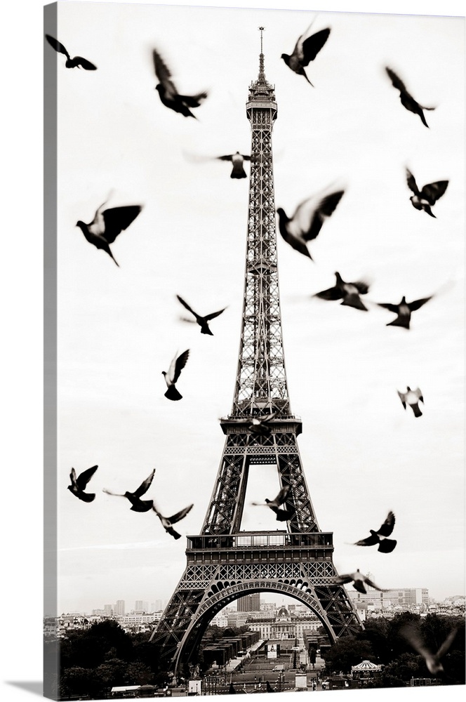 France, Paris, Birds in front of the Eiffel Tower.