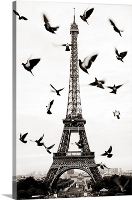 France, Paris, Birds In Front Of The Eiffel Tower