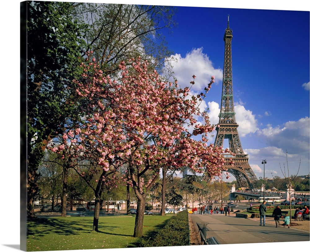 France, Paris, Eiffel Tower during spring