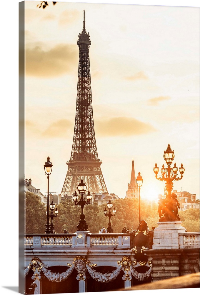 France, Paris, View Alexander III Bridge and Eiffel Tower.