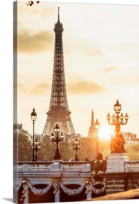 France, Paris, View Alexander III Bridge And Eiffel Tower