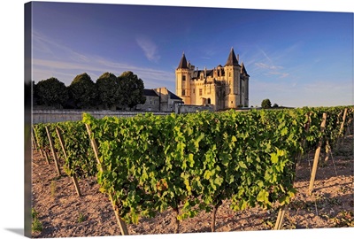 France, Pays de la Loire, Loire Valley, Maine-et-Loire, View of the imposing Castle