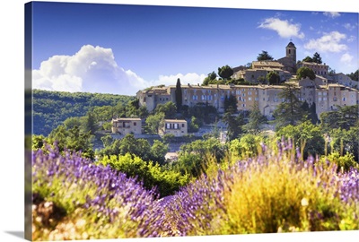 France, Provence-Alpes-Cote d'Azur, Provence, Banon, Lavender field near Valensole