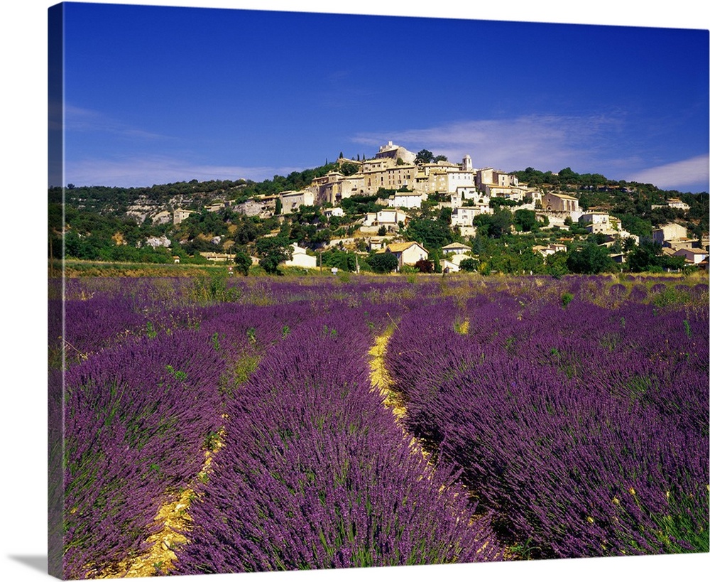France, Provence-Alpes-C..te d'Azur, Simiane-la-Rotonde