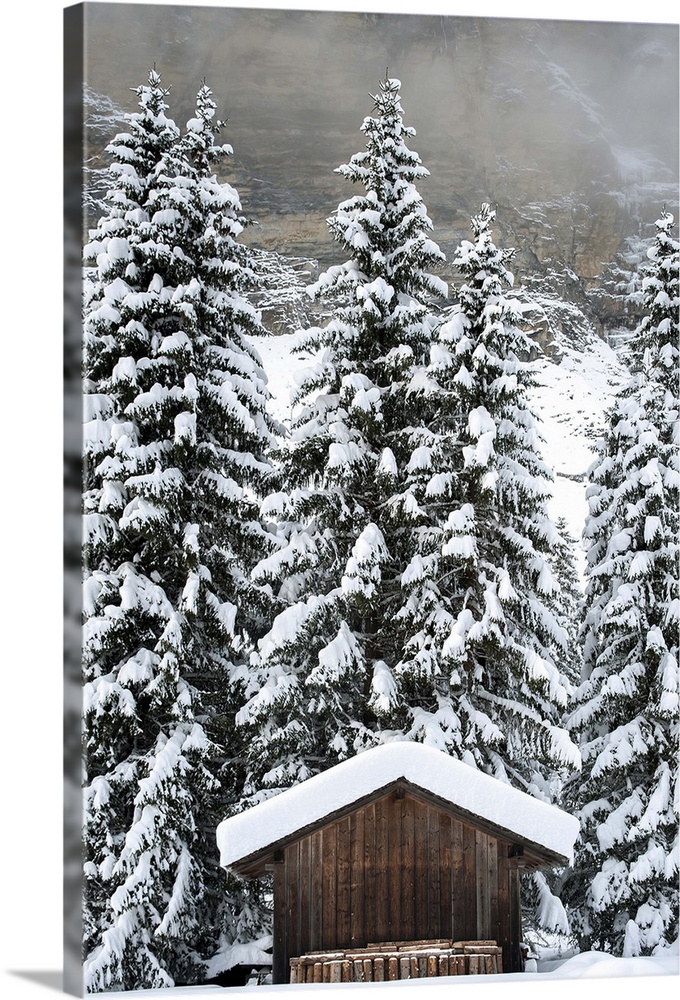 France, Rhone-Alpes, Alps, Haute-Savoie, Morzine, Alpine Ski Hut, Prodain