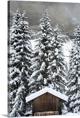 France, Rhone-Alpes, Alps, Haute-Savoie, Morzine, Alpine Ski Hut, Prodain
