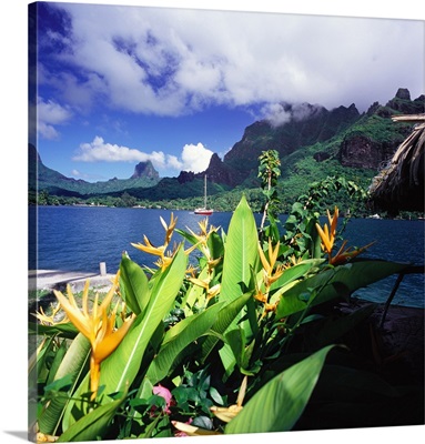 French Polynesia, Moorea, Tahiti, Cook's Bay, Club Bali Hai Hotel