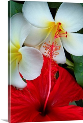 French Polynesia, Polynesian flowers
