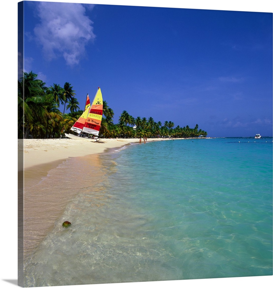 French Antilles, French West Indies, Guadeloupe, Caribbean, Caribs, Caravelle beach
