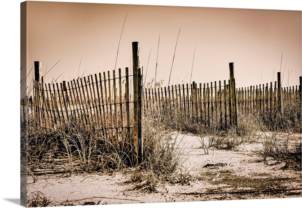 Georgia, Tybee Island, beach scene with wooden fence on sand dunes.