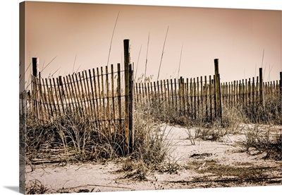 Georgia, Tybee Island, Beach Scene With Wooden Fence On Sand Dunes