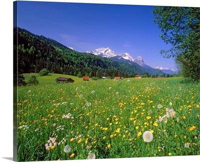 Germany, Bavaria, Oberbayern, meadow and Zugspitze mountain range in background