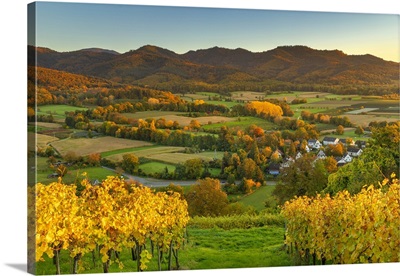 Germany, Black Forest,  Markgraflerland, Vineyards In Autumn Near Ehrenstetten