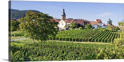 Germany, Rhineland-Palatinate, German Wine Route, Burrweiler