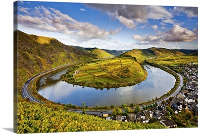 Germany, Rhineland-Palatinate, Moselle Valley, Bremm, Vineyards in autumn