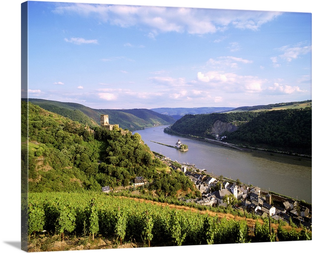 Germany, Rhineland-Palatinate, The river, the Burg Pfalzgrafenstein and the town