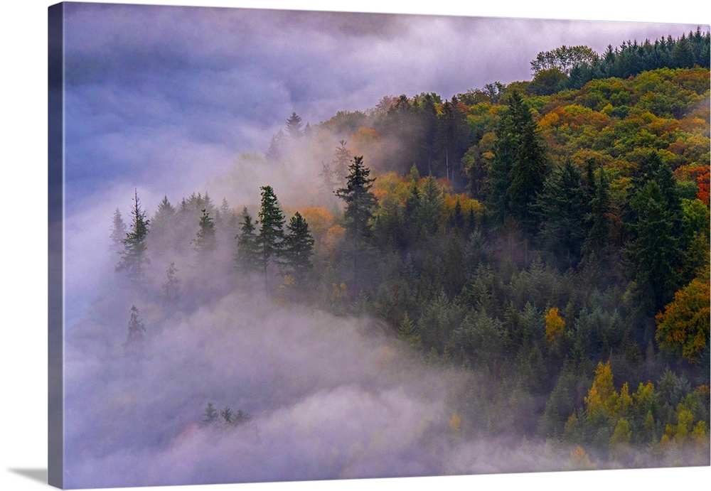 Germany, Saarland, Mettlach, Saar, Saar Valley, Saartal, Saar-Hunsruck Nature Park, Morning fog at the Saar loop.