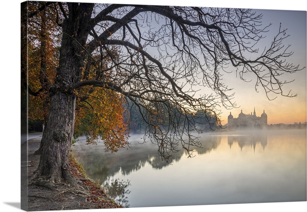 Germany, Saxony, Moritzburg, Moritzburg Castle, Morning mood at the castle pond with the baroque castle near Dresden.