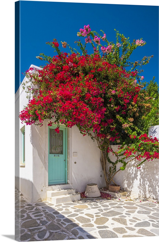 Greece, Aegean islands, Cyclades, Paros island, Mediterranean sea, Aegean sea, Greek Islands, Glimpse of the historic cent...