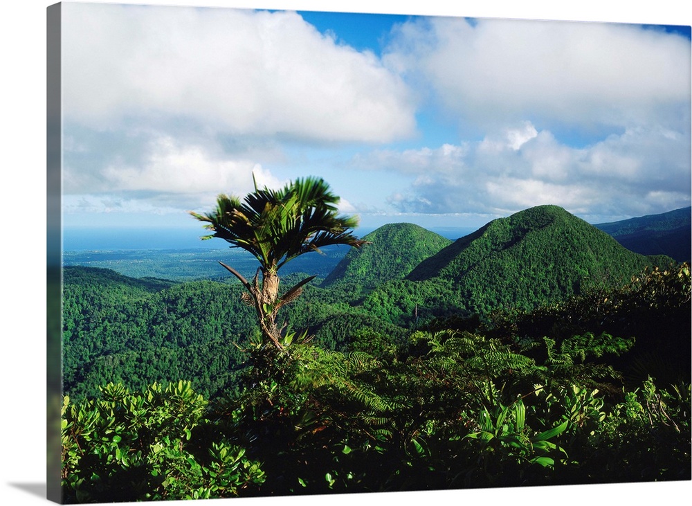 Blick auf Mamelles, Guadeloupe, Inseln ..ber dem Winde, Karibik