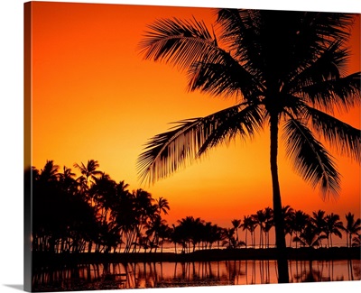 Hawaii, Big island, Anaeho Omalu Bay (Waiolua Bay), Sunset