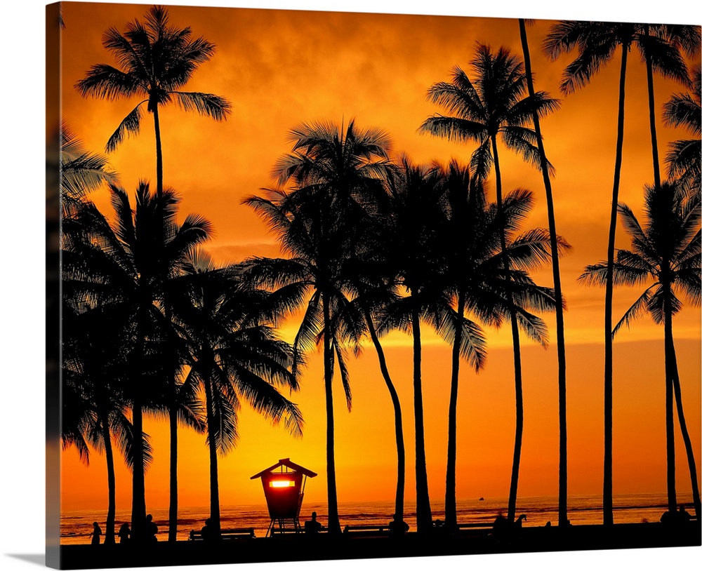 Hawaii, Oahu, Honolulu, Waikiki beach at sunset with palm-trees
