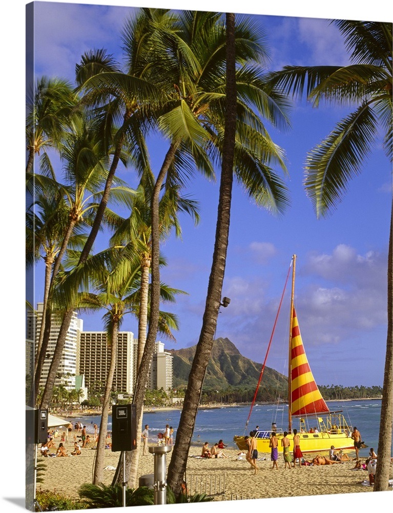 Hawaii, Tropics, Pacific ocean, Oahu island, Honolulu, Waikiki beach Wall Art, Canvas Prints
