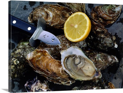 Iceland, Oysters