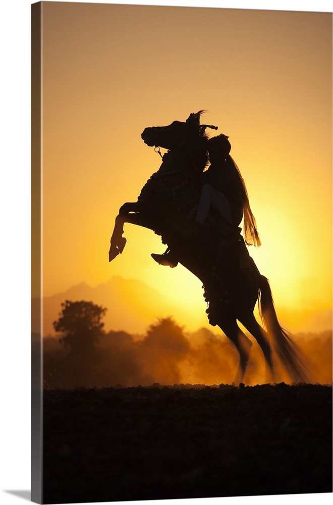 India, Rajasthan, A typically dressed rider on a rearing Kathiawari horse backlit in the sunset