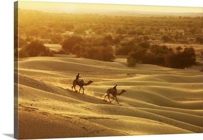 India, Rajasthan, Thar Desert, camels and the sand dunes near Khuri village