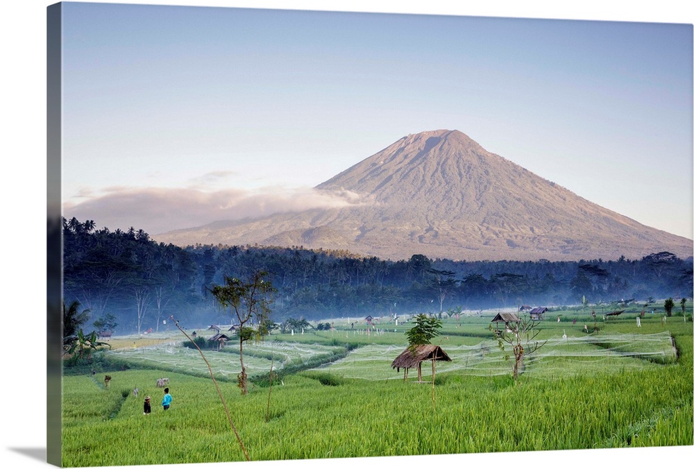Indonesia, Bali, Mount Agung over rice terraces of the Abang region in early morning.