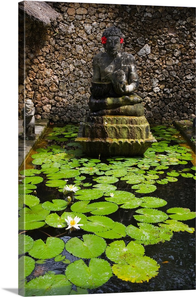 Indonesia, Bali Island, Ubud town, lotus flowers in Amandari Resort