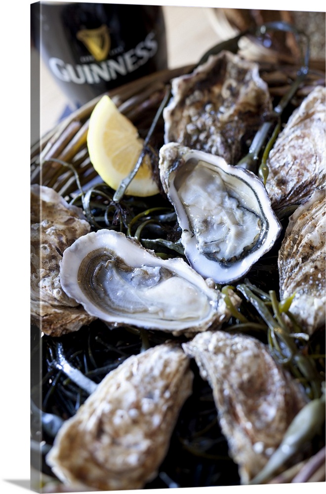 Ireland, Galway, Kilcolgan, The oysters of Moran's Oyster Cottage