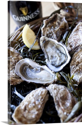 Ireland, Galway, Kilcolgan, The oysters of Moran's Oyster Cottage