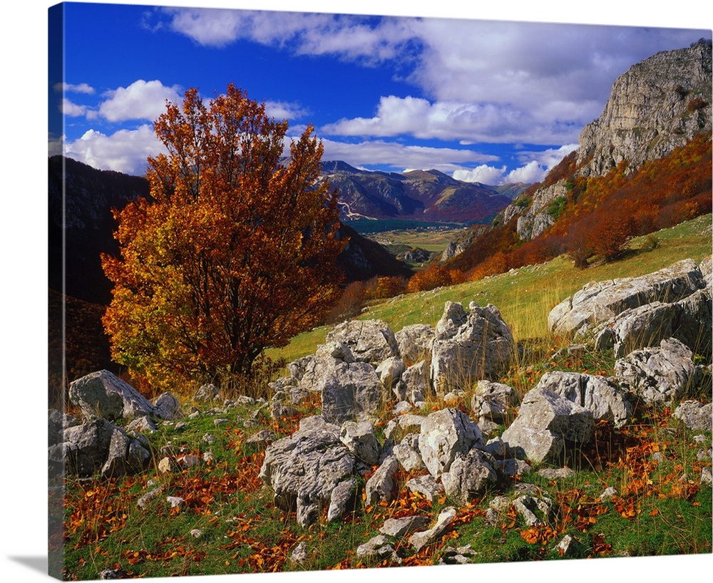 Paesaggio della Val d'Arano, nei pressi di Ovindoli, e sullo sfondo l'altipiano delle rocche.