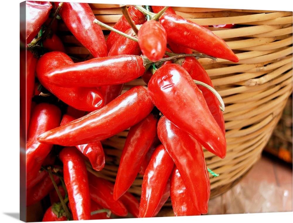 Italy, Calabria, Tropea town, hot peppers