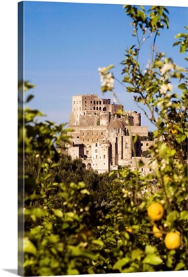 Italy, Campania, Ischia Island, Ischia Ponte, Aragonese Castle with lemon tree