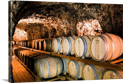 Italy, Campania, Salerno district, Marisa Cuomo's casks cellar