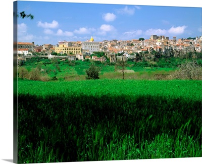 Italy, Campania, Sessa Aurunca, view across field to town