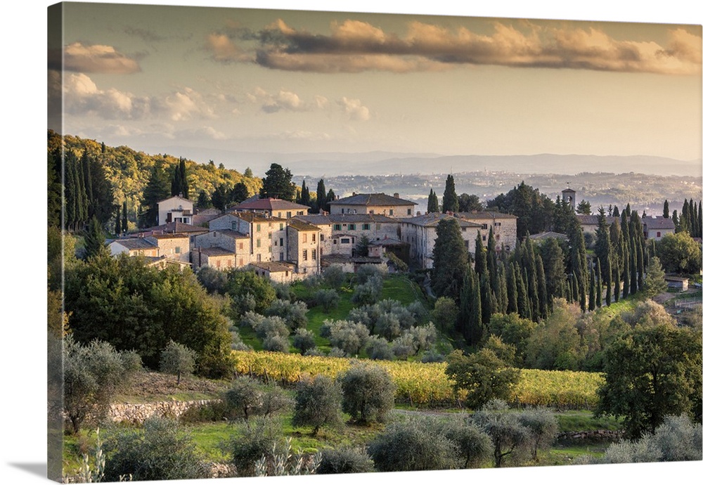 Italy, Tuscany, Siena district, Chianti, Castellina in Chianti, Fonterutoli.