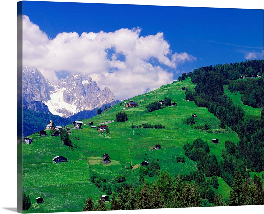 Italy, Italia, Veneto, Comelico Superiore, grazings towards  Dolomiti di Sesto