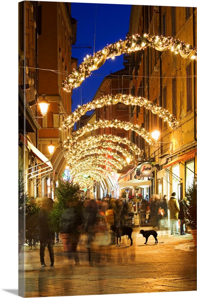 Italy, Emilia-Romagna, Bologna, Via D'Azeglio shopping with Christmas lights