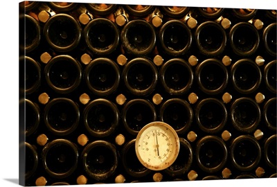 Italy, Emilia-Romagna, Fornello locality, bottles with thermometer