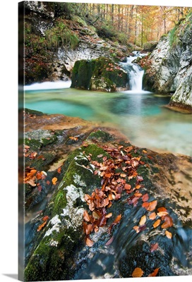 Italy, Friuli-Venezia Giulia, Carnia, Ampezzo, Arzino river and arzino water-falls