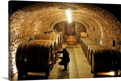 Italy, Friuli-Venezia Giulia, Colli Orientali, Prepotto, wine cellars, Zidarich winery
