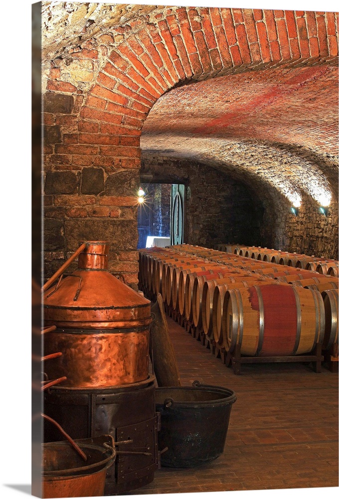 Italy, Friuli-Venezia Giulia, Collio, Capriva del Friuli, Spessa Castle, wine cellar